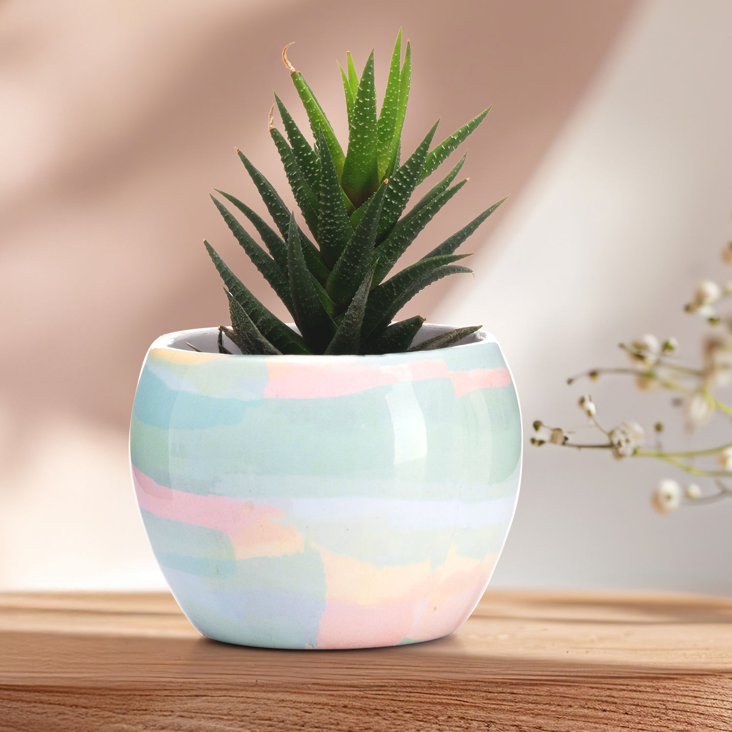 Table Top Metal Flower Pot | Elegant Indoor Planter | Blue & Pink | Seedling