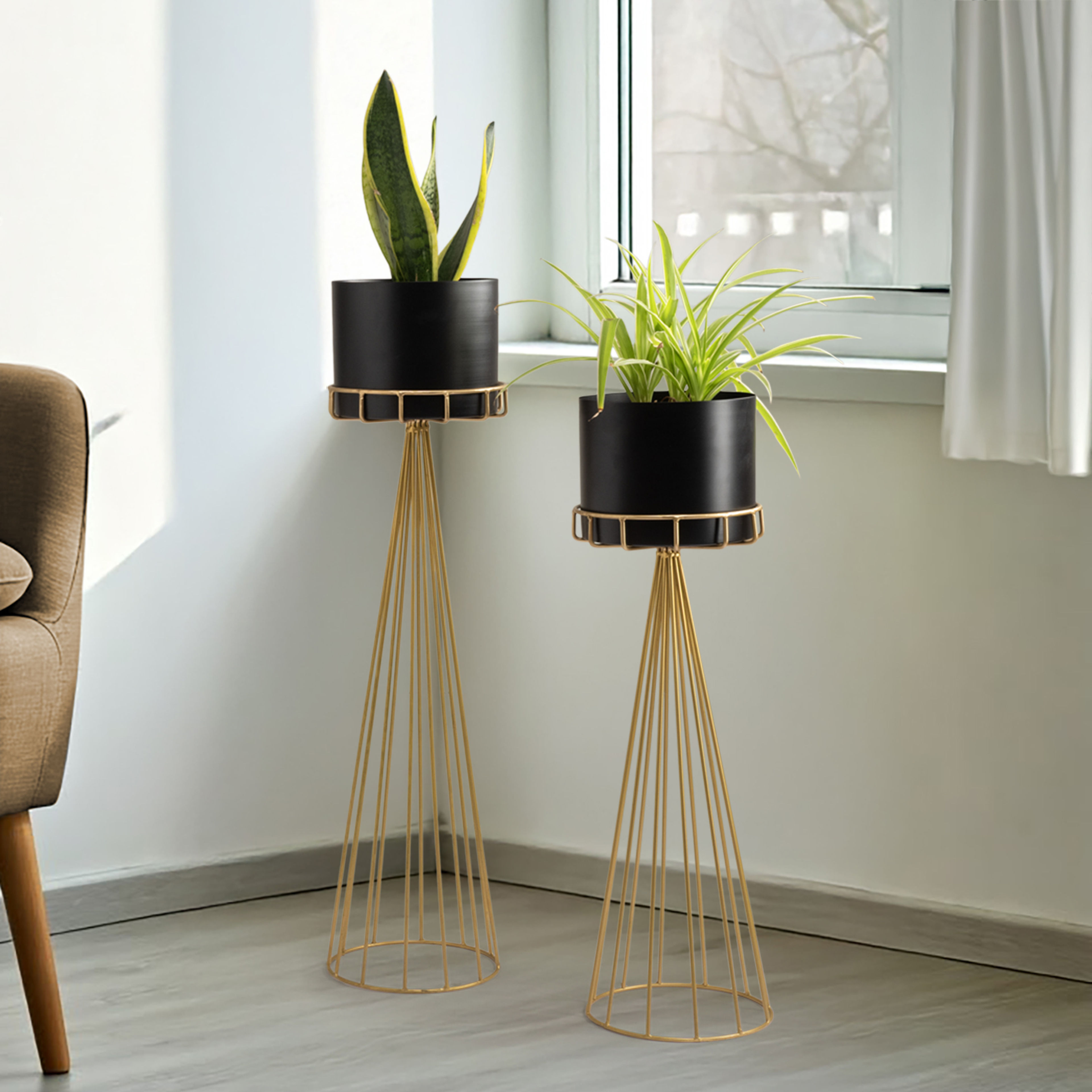 Terra planter black & gold by Wakefit