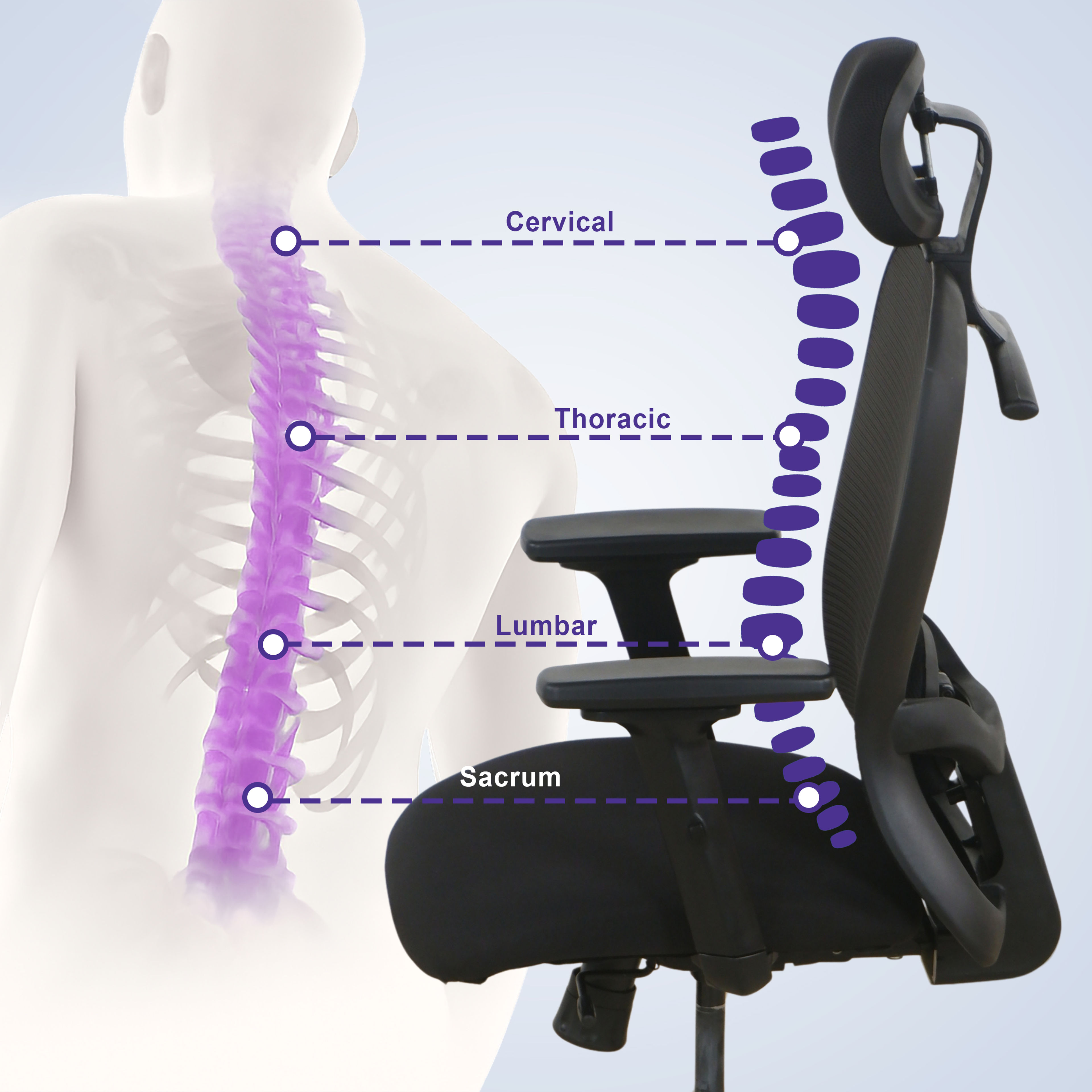 img/npl_raw_images/Officechair3sku/WSCHRSAFARHBCRB3DBKBKBKMLSSR1/WSCHRSAFARHBCRB3DBKBKBKMLSSR1_WB_6.jpg