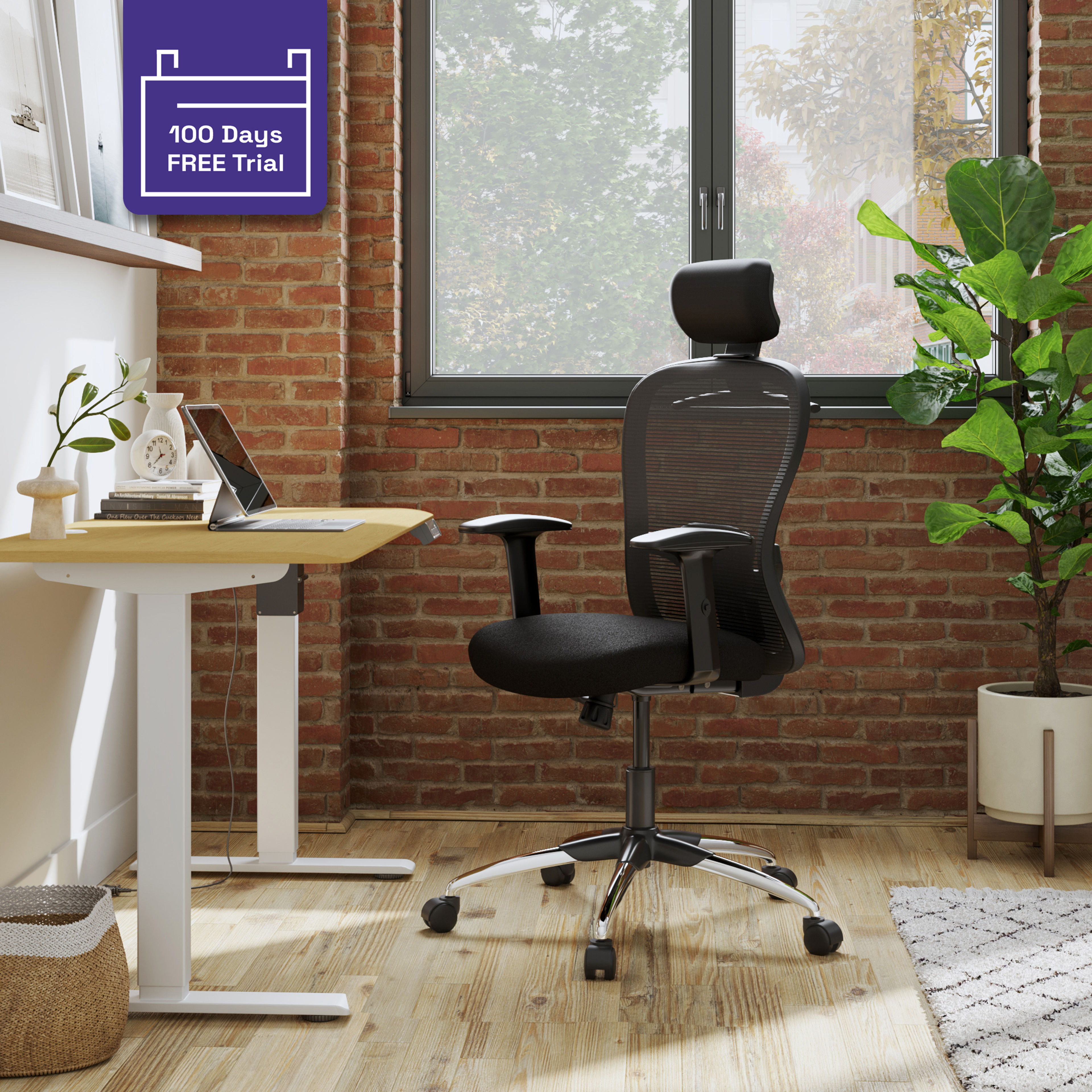 Buy Safari High Back Office Chairs in Black Grey at Best Price