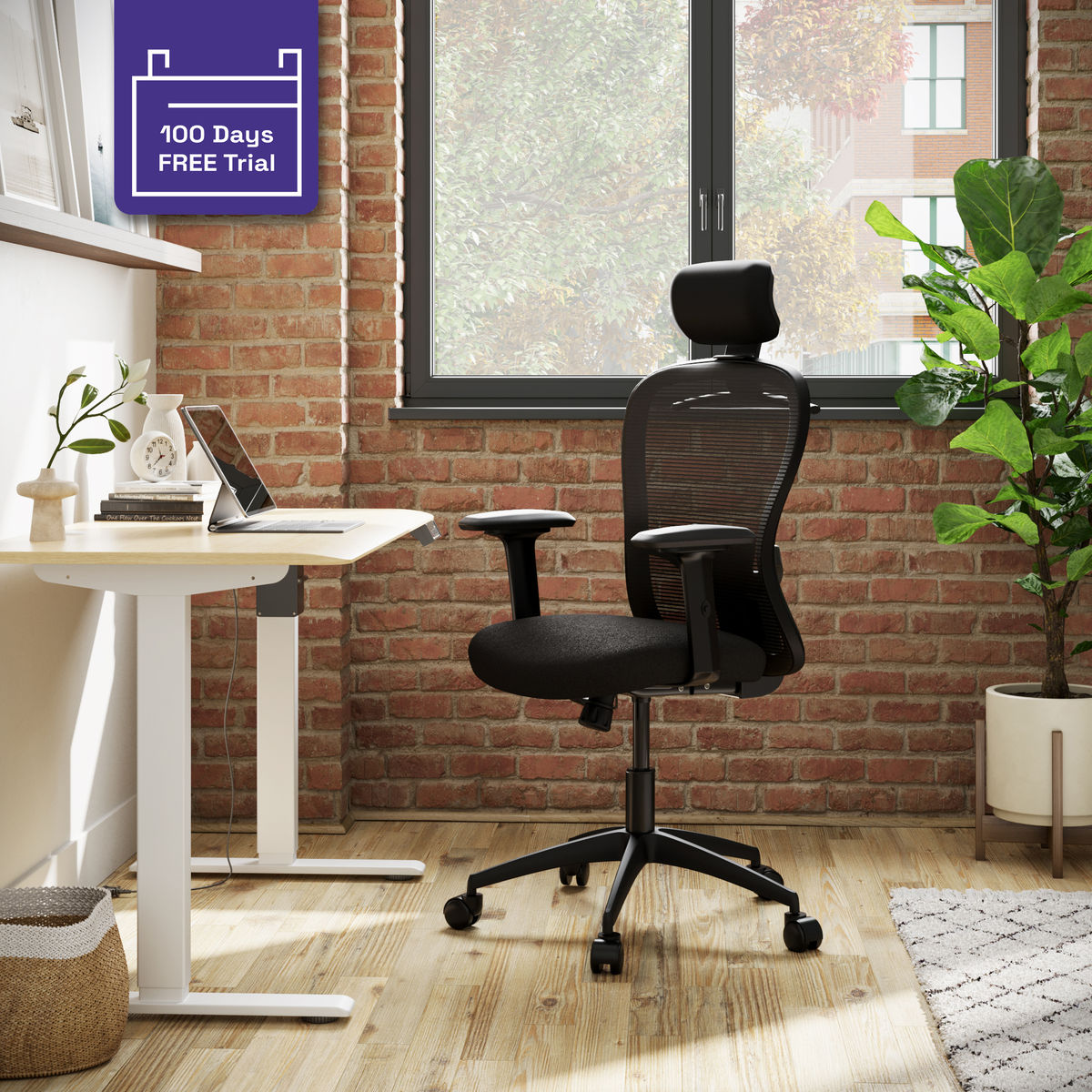 Buy Safari High Back Office Chairs in Black Grey at Best Price