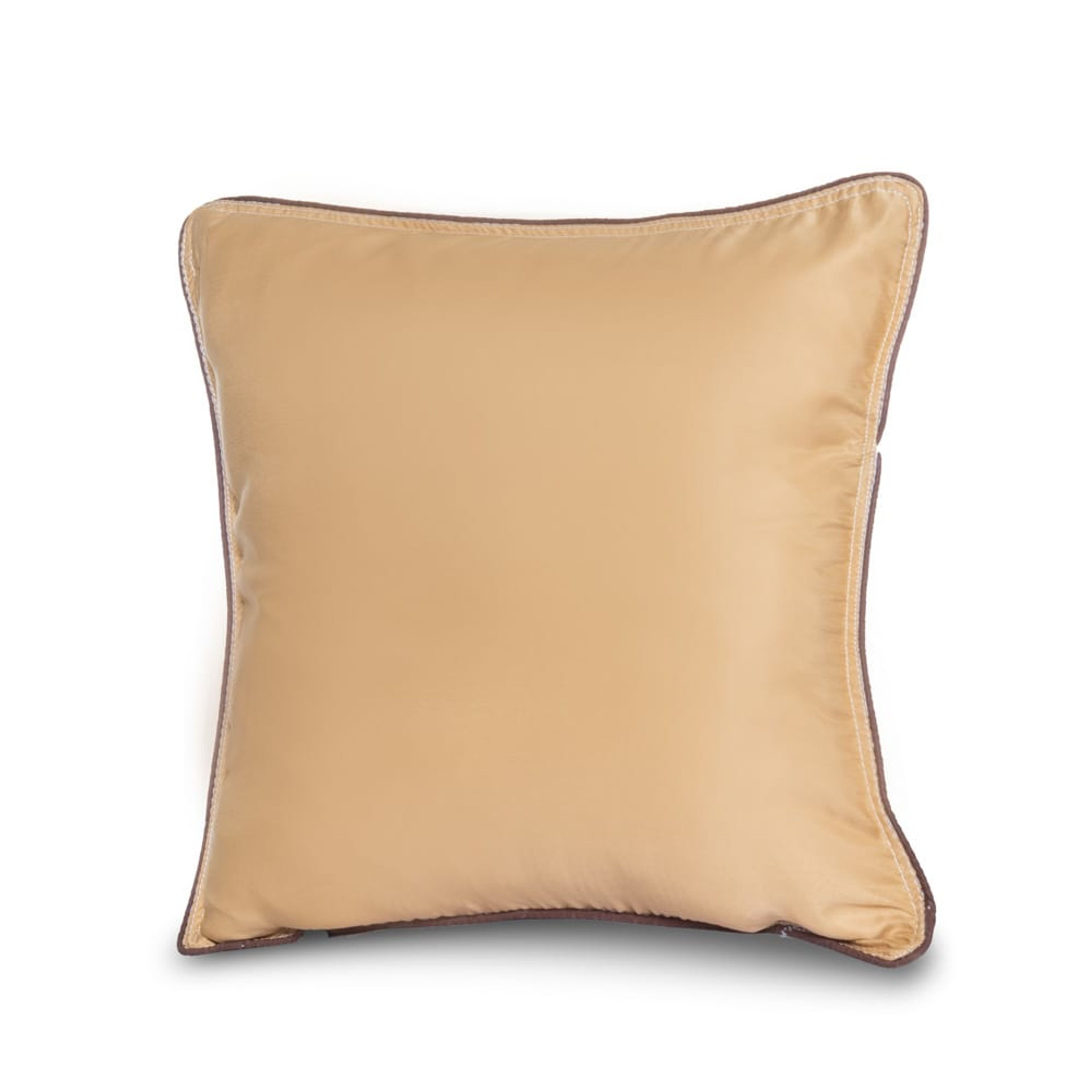 Cushion