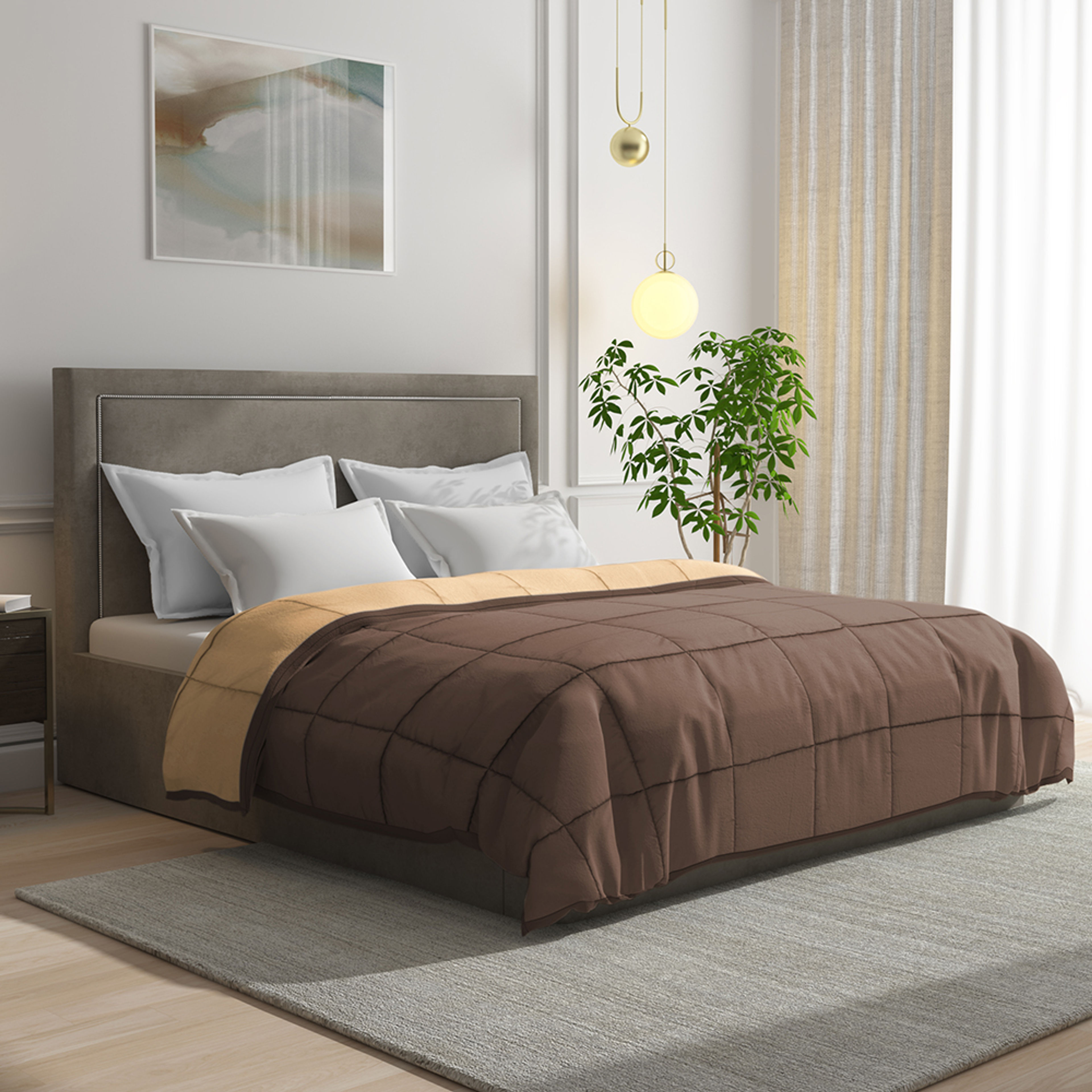 Buy Cots Online