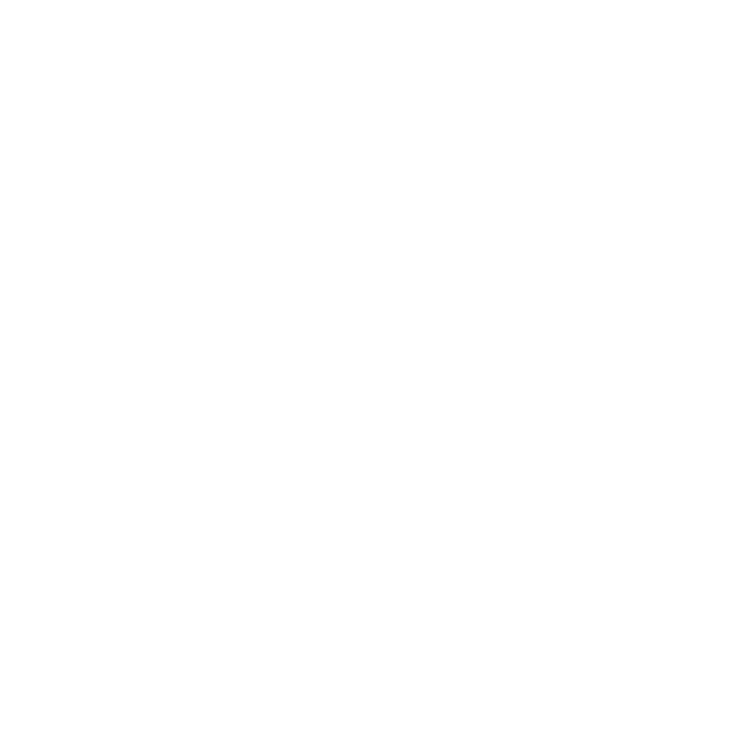 BIINK