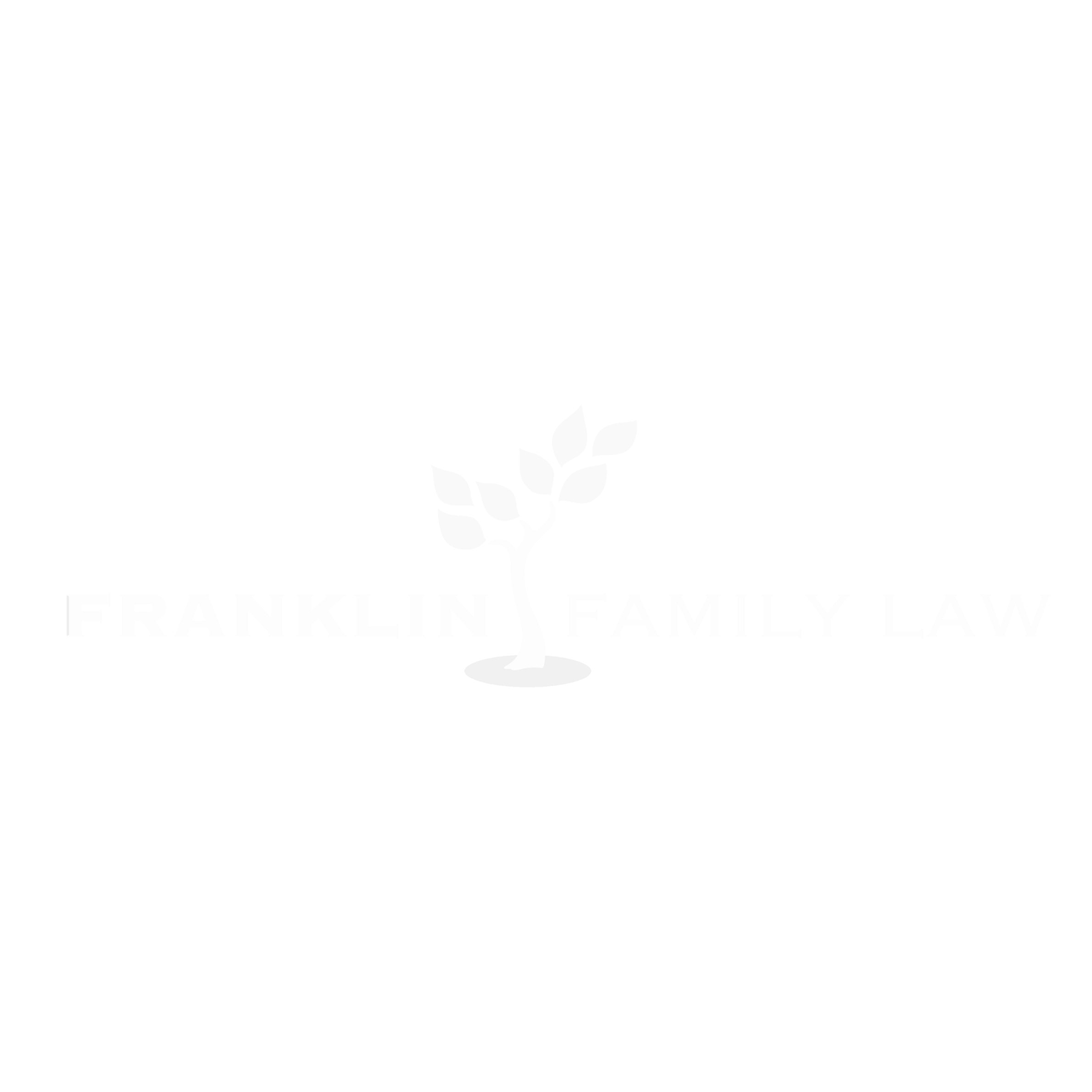 Franklin Family Law