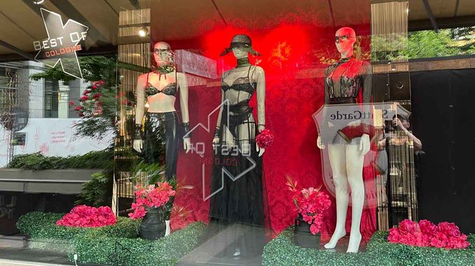 Best of Cologne Schaufenster