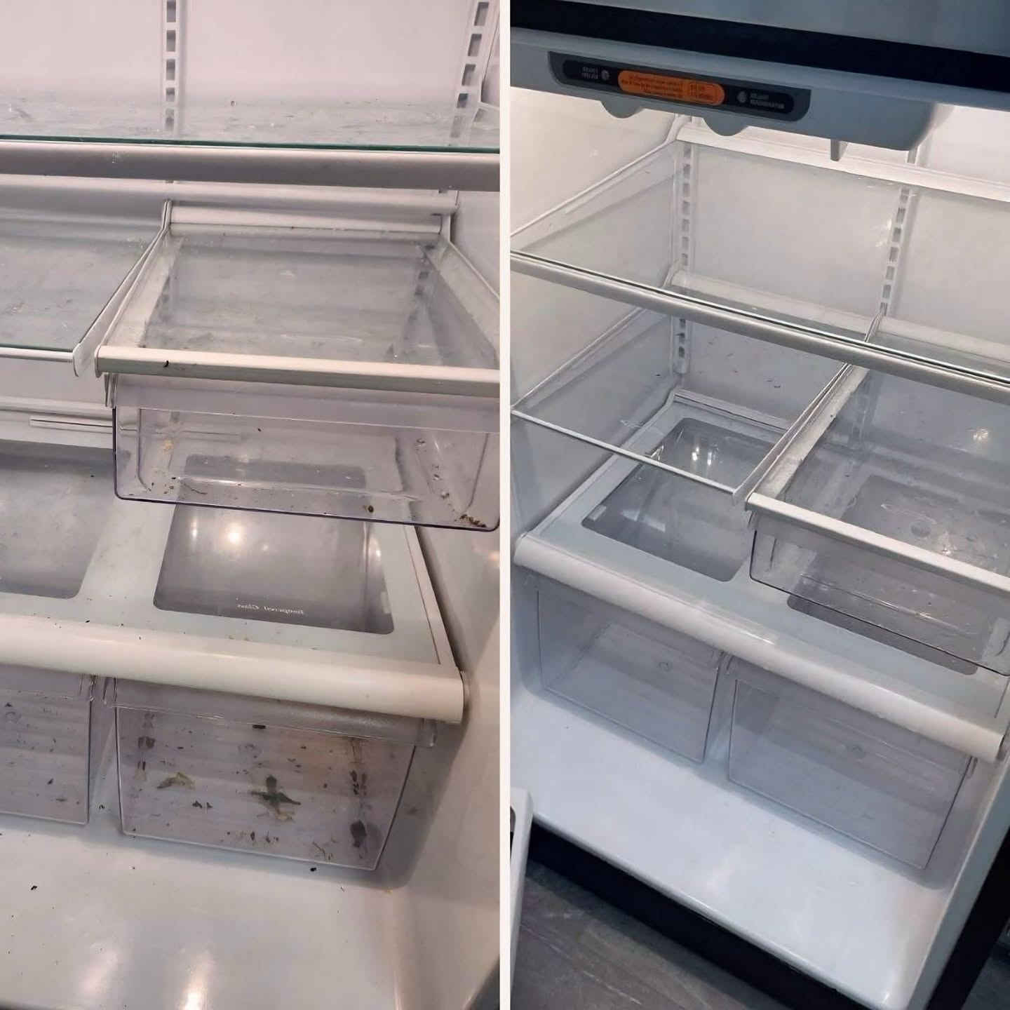 Fridge before and after