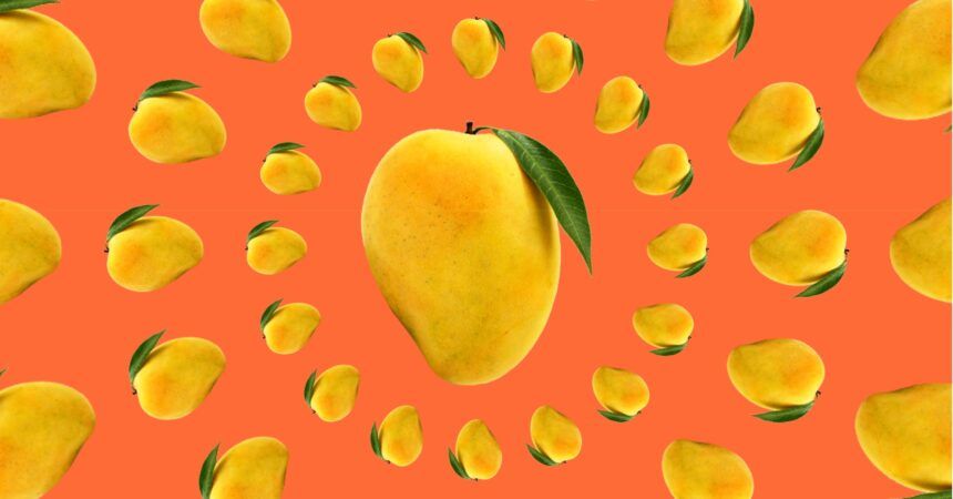 India's relationship with mango in imagery