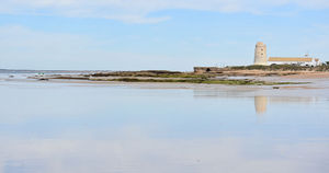 la torre dEl Palmar
