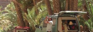 Caravana en oasis a la entrada del Sahara