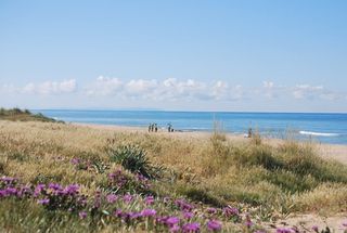 Primavera en Cádiz