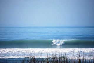 Un invierno épico en el palmar