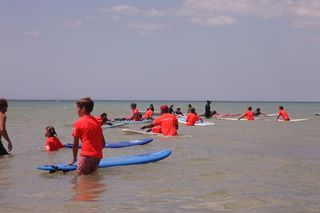 Licras nuevas