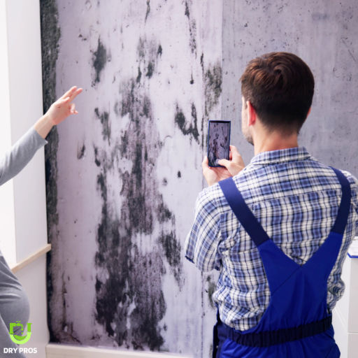 Water Damage Restoration in Garden City, IA