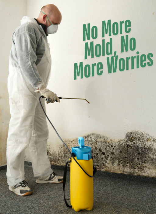 Mold Remediation in Opdyke, IL