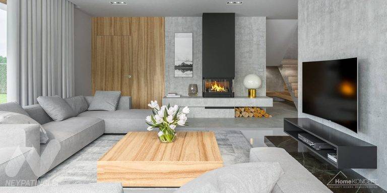 planasnamas - HomeKONCEPT 11 wnetrze 3