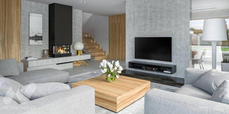 planasnamas - HomeKONCEPT 11 wnetrze 4