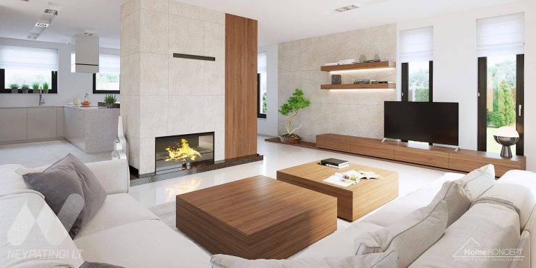 planasnamas - HomeKONCEPT 15 wnetrze 1