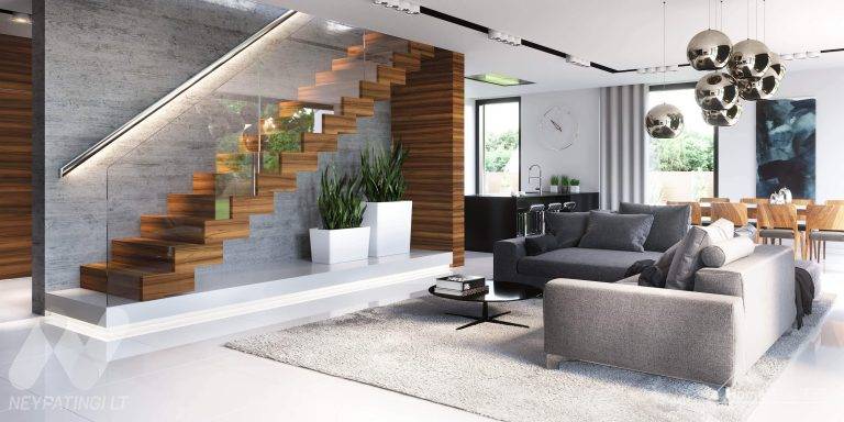 planasnamas - HomeKONCEPT 30 wnetrze 1