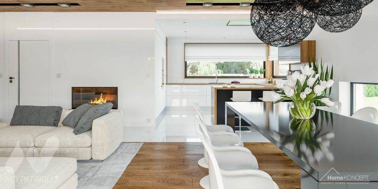 planasnamas - HomeKONCEPT 33 wnetrze 5