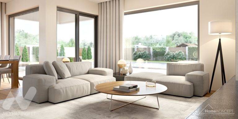 planasnamas - HomeKONCEPT 36 wnetrze 1