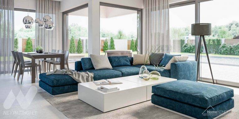 planasnamas - HomeKONCEPT 38 wnetrze 1