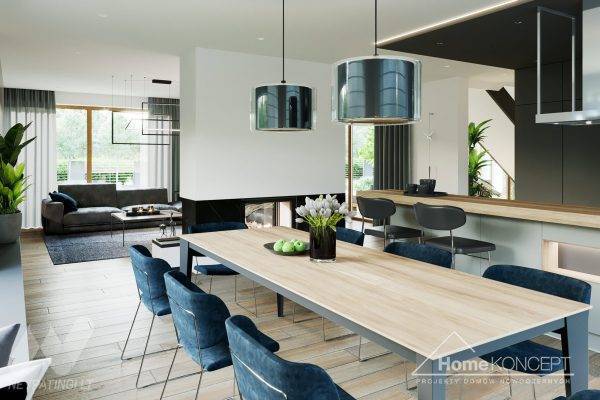 planasnamas - HomeKONCEPT 40 wnetrze 4