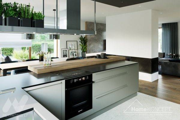 planasnamas - HomeKONCEPT 40 wnetrze 6