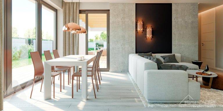 planasnamas - HomeKONCEPT 46 wnetrze 5