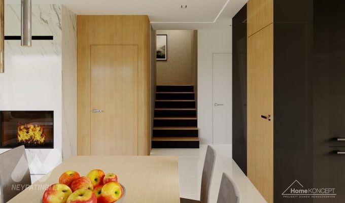 planasnamas - HomeKONCEPT 47 B wnetrze 7