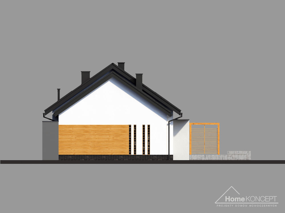 planasnamas - HomeKoncept 23 elewacja boczna II