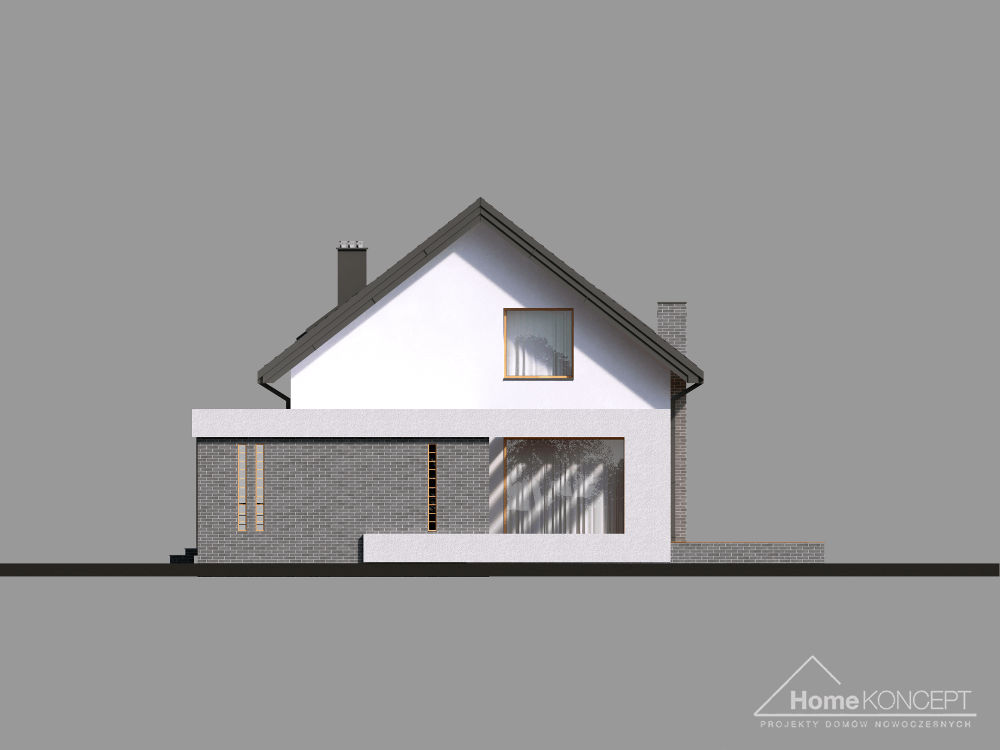 planasnamas - HomeKoncept 5 elewacja boczna I