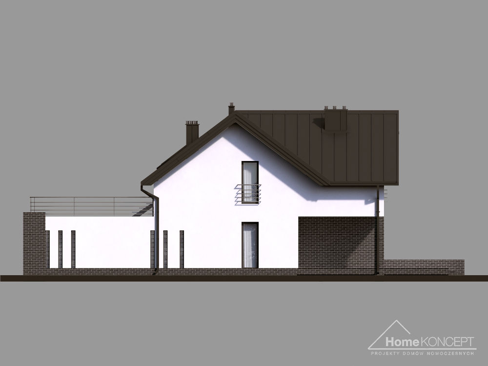 planasnamas - HomeKoncept 9 elewacja boczna I