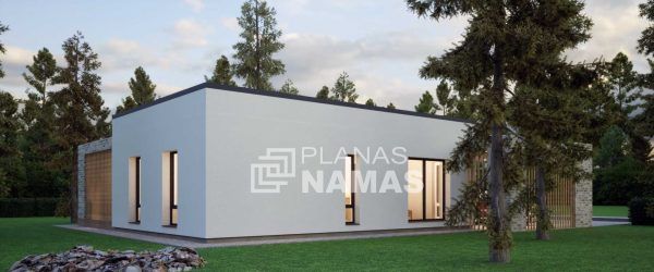 planasnamas - NY0016 F6