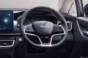 BYD M6