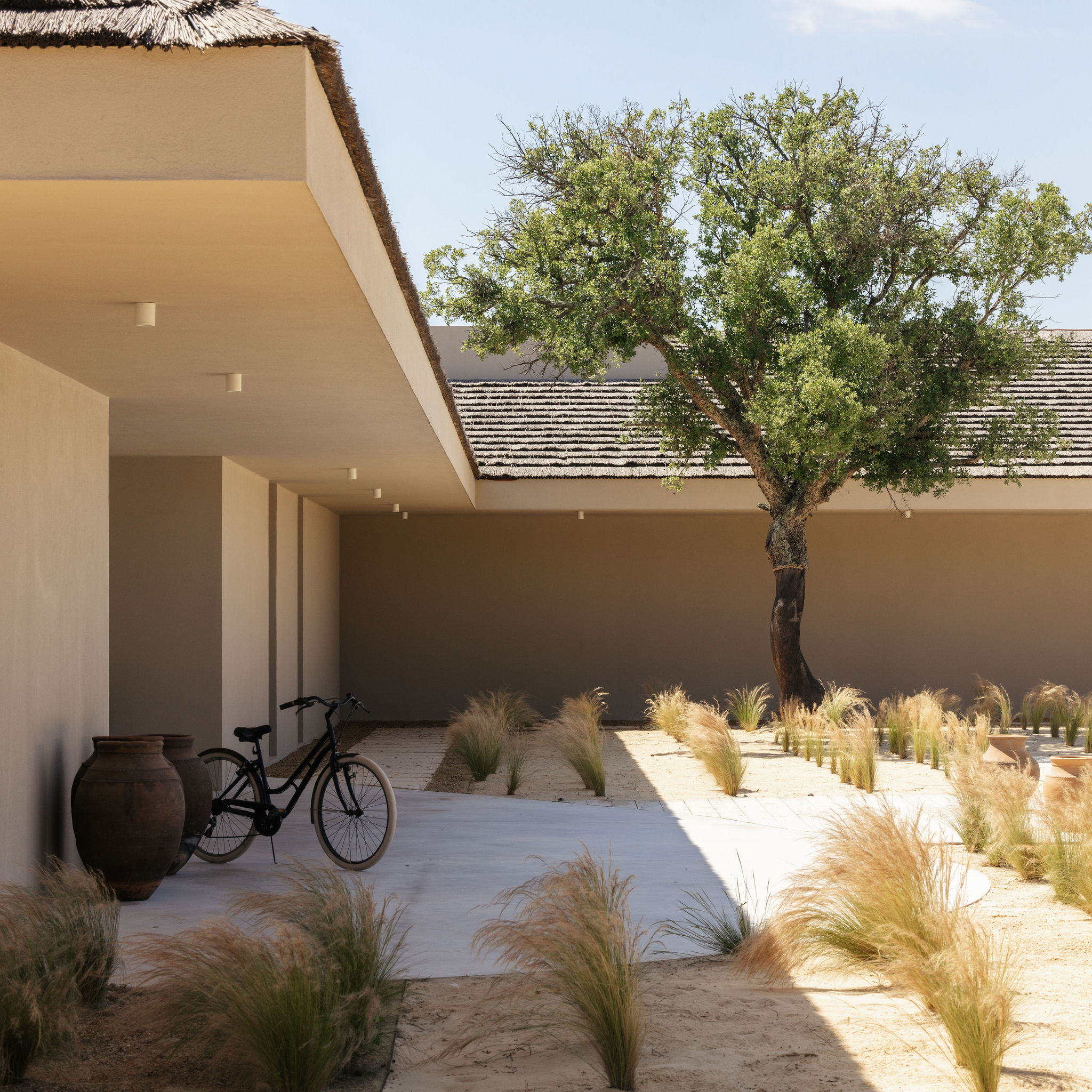 Courtyard tree and bicycle against a quiet facade, Spatia Comporta