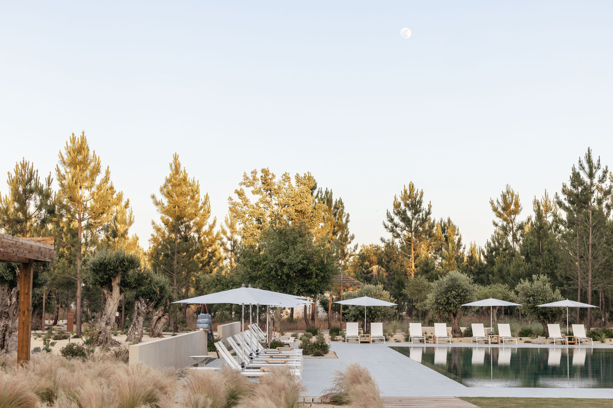 The long pool under white umbrellas