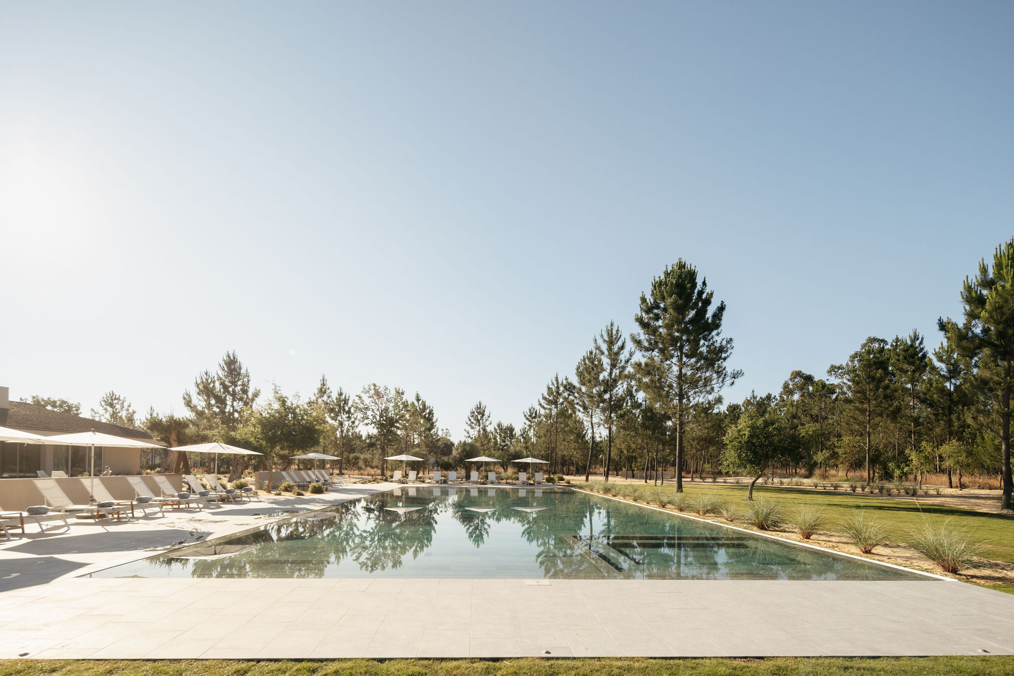 Loungers by the pool among the pines