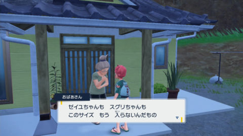 「ポケモンSV」のDLC前編「碧の仮面」で追加された新しい服装と髪型は、「スカーレット・バイオレット」のアイテム一覧です