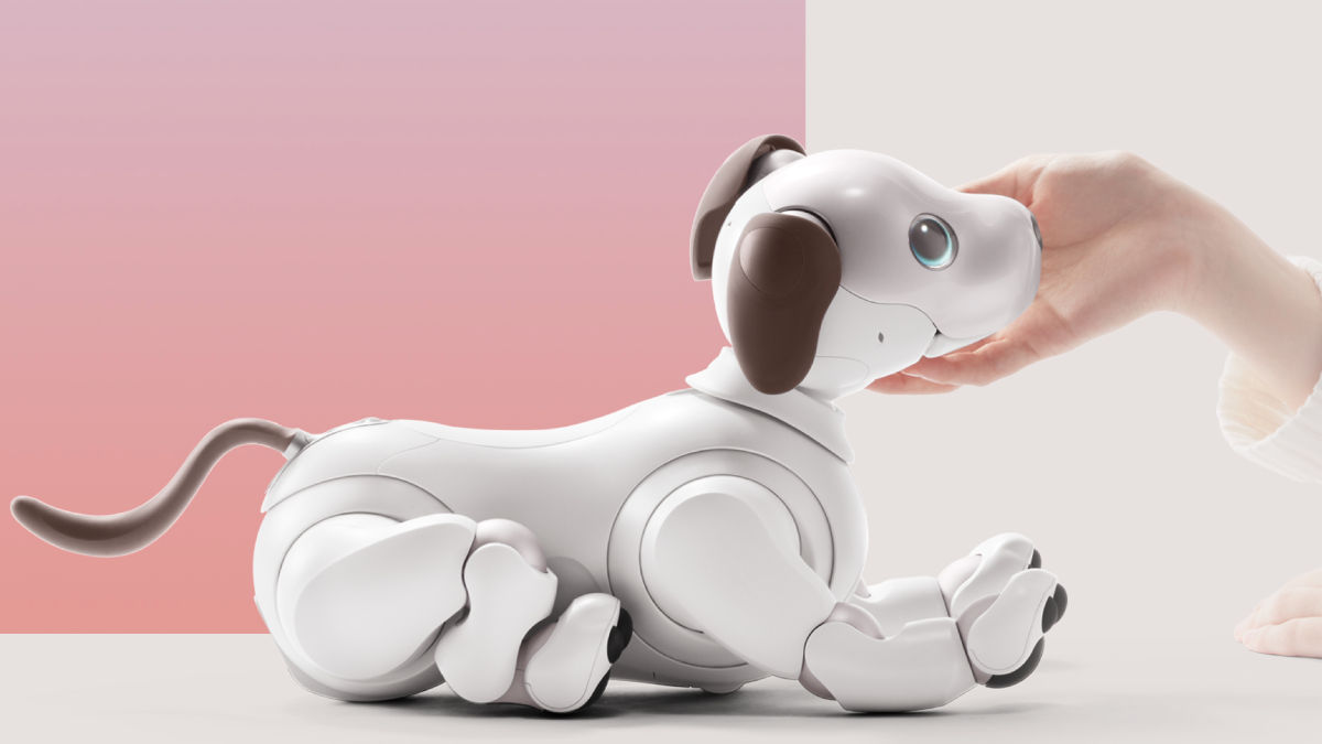 pet-robot-0126-1