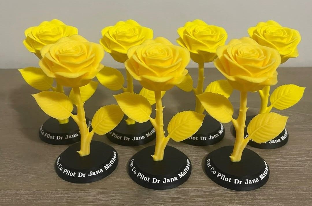 Example 3D print by Impeccable Sculptures