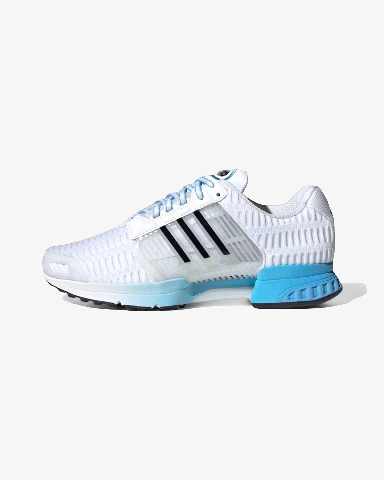 Adidas Climacool White/Burst Blue