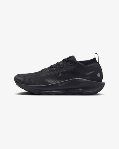 Nike Pegasus Trail 5 GORE-TEX Black