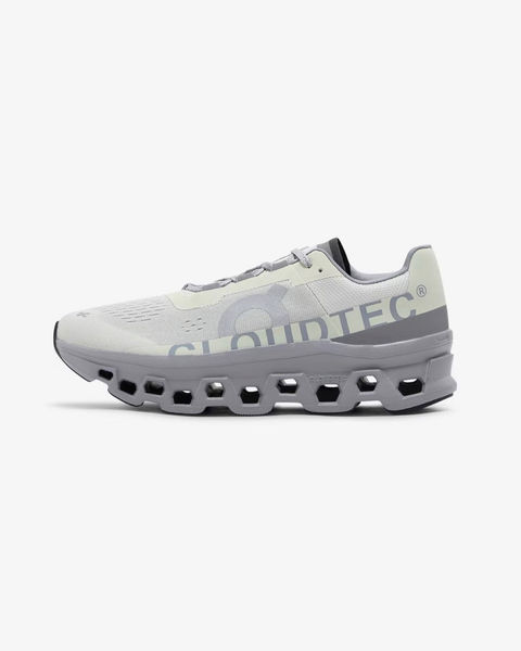 On Cloudmonster Ice/Alloy