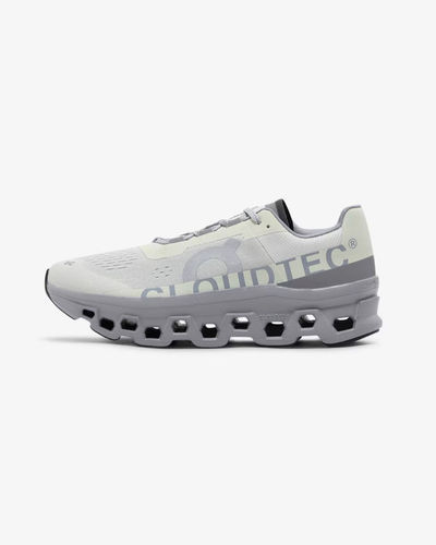 On Cloudmonster Ice/Alloy