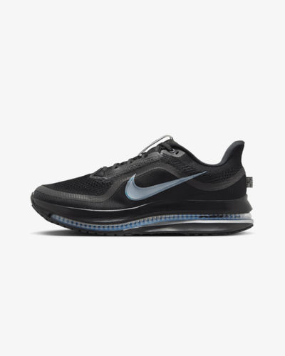Nike Pegasus Premium Black/Metalic Silver