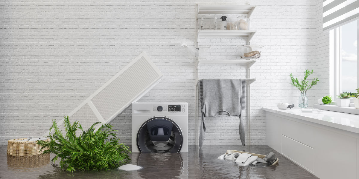 Best Carpet & Flooring Water Damage Repair in Cambridge, WI
