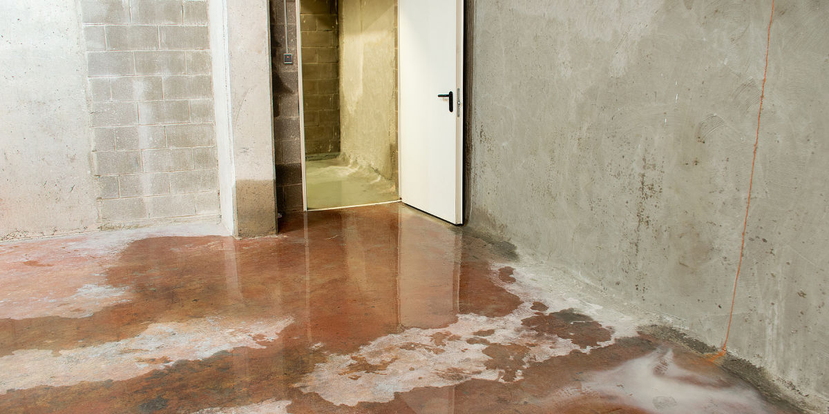 FAQS about Basement Water Cleanup Services in Walnut Grove, AL
