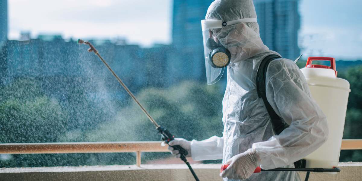 Best Bed Bug Extermination in Jetmore, KS
