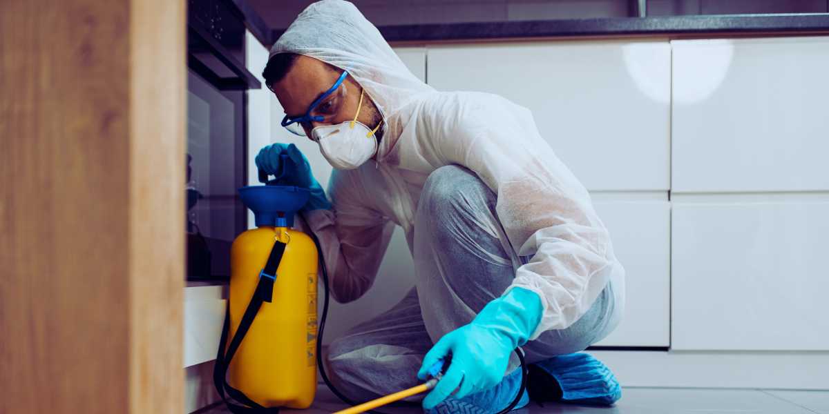FAQS about Rodent Control Services in Riverdale, MI